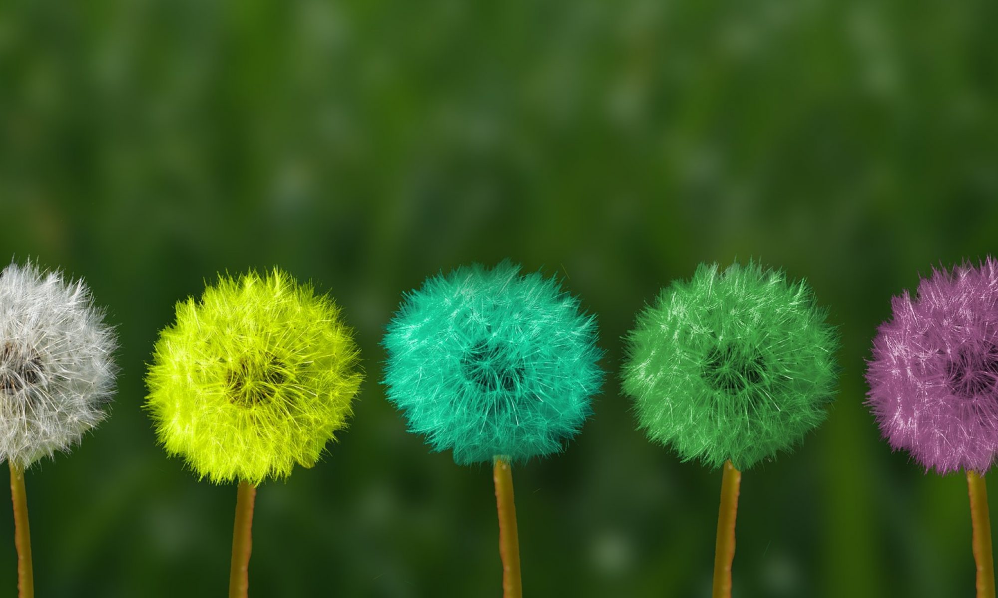 JASHANTI Listen-in-Harmony Ltd